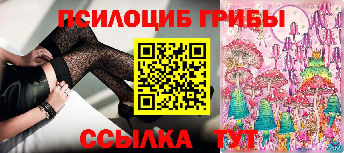 Городец  Псилоцибиновые грибы ЛСД  Галлюциногенные грибы GOLDEN TEACHER  Вход с VPN 