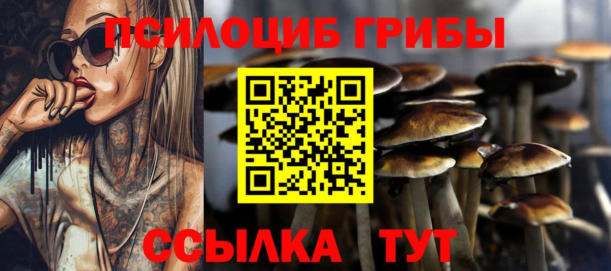 Псилоцибиновые грибы Psilocybine cubensis Городец